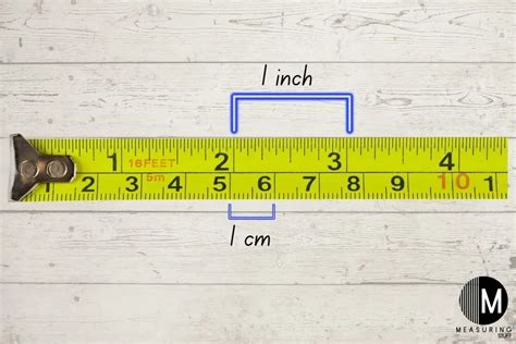 Examples Of Things Measured In Centimeters Measuring Stuff