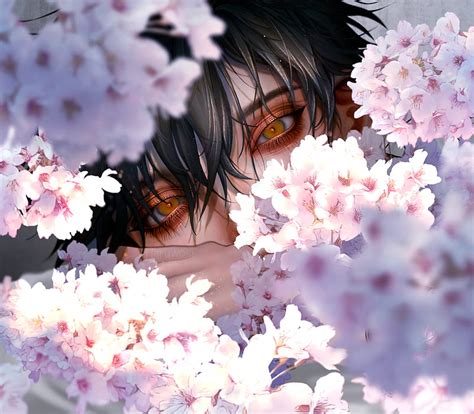 Anime Boy Blossom Stare Hd Wallpaper Peakpx