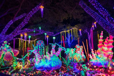 Where To See The Best Christmas Lights In Houston Houstonia