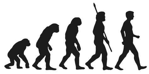 Premium Vector Darwins Evolution Of The Human Silhouettes With The