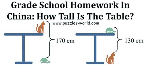 The answer is given in the above image as you can see it. Find The Cat Puzzle Answer ~ HexoPict Wall Ideas
