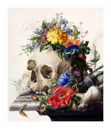 Still Life Floral Skull Hourglass Free Stock Photo Public Domain Pictures