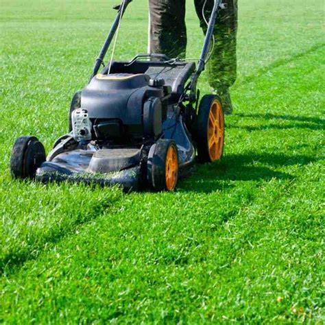 Creating Professional Patterns For Lawn Mowing Get Lawn Mower