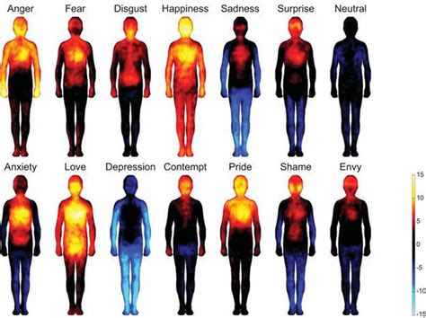researchers map body areas linked to specific emotions psychology today