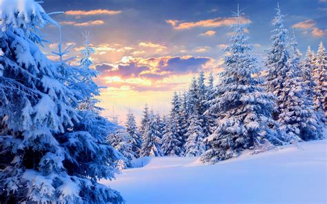 Tapeta Na Monitor Zima Zima Les Krásně Nebe Mraky