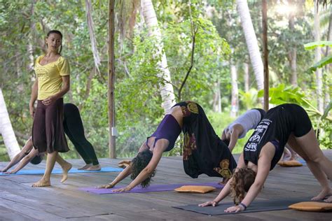 The Best Center For Your Yoga Teacher Training In Thailand Samma Karuna