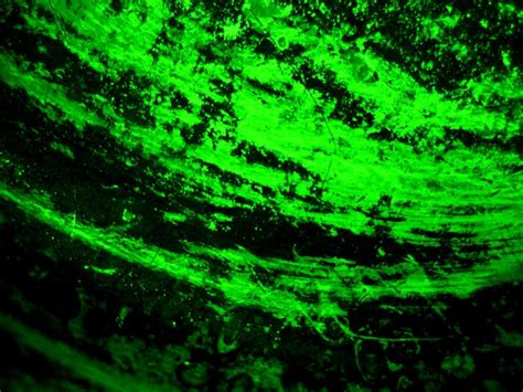 Download and use 4,000+ purple stock photos for free. 76+ Neon Green Wallpaper on WallpaperSafari