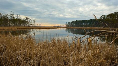 Maryland Wildlife Refuge Fights To Protect American History From