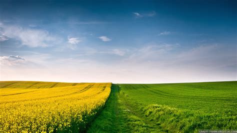Free photo: Summer field - Agricultural, Romania, Morning - Free ...
