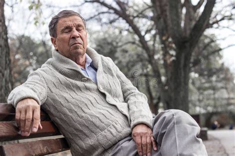 Senior Man Sitting On Bench In The Park Stock Photo Image Of