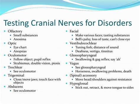 Vagus Nerve Disorders Vertigo