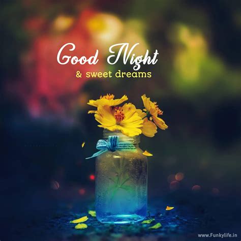 Best Good Night Wishes Messages Funky Life