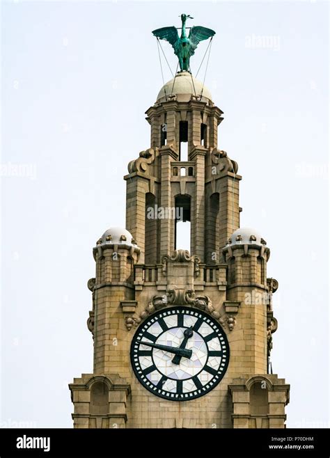Close Up View Of Clock Towers Of Royal Liver Building With Cormorant