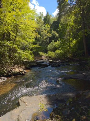 10 Best Hikes And Trails In Fall Creek Falls State Park Alltrails