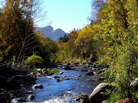 Crystal Clear Water Oak Creek Trees Sky Creek Water Hd Wallpaper