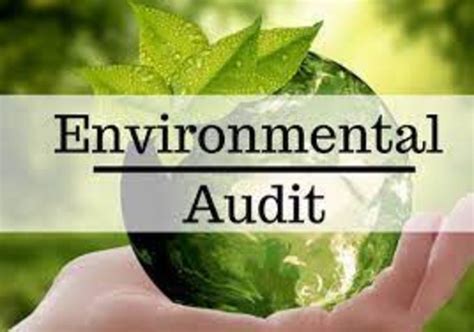 Environmental Audit Service At Best Price In Morbi Id 19801034991