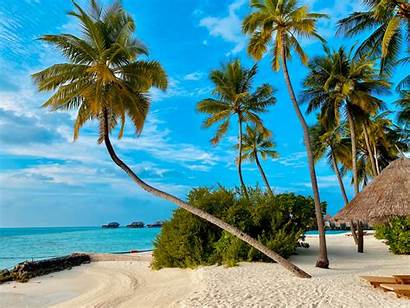 Beaches Cookinseln Unsplash Consta Daydreaming Travellers Alex