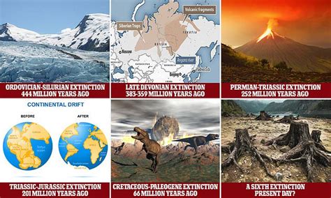 Earths Five Mass Extinctions And A Sixth Could Be On The Way Daily Mail Online
