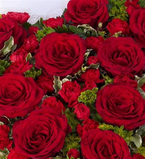 Gift bsket product , flower design , teddy bear design may vary.but we will try our best to match the arrangement pictured on our site. Red Rose and Carnation Heart - Funeral Flowers London