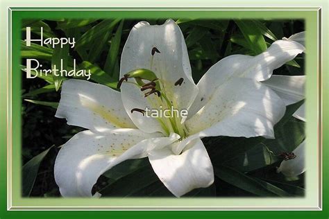 Happy Birthday Greeting Card With A White Lily By Taiche Redbubble