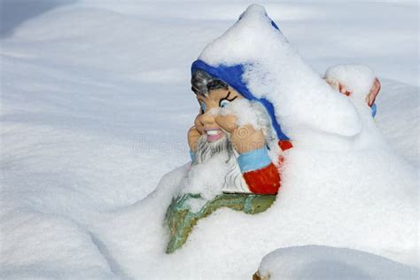 Garden Gnome In Snow Stock Image Image Of Sunny Outside 103029693