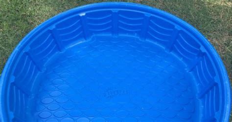 Plastic Wading Pool Only 699 At Ace Hardware Great For Kids And Pets