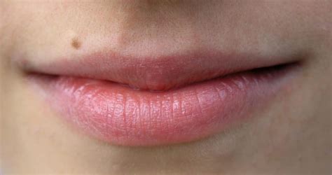 Mundflora So Das Gleichgewicht Im Mund Erhalten Heilpraxis