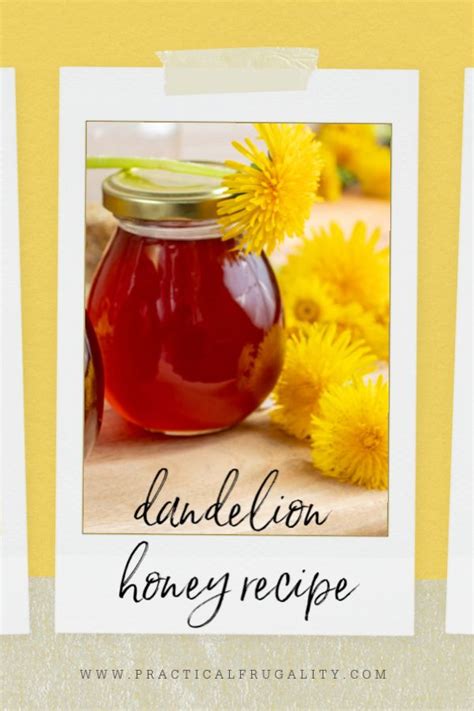 Dandelion Honey Recipe Recipe Honey Recipes Dandelion Recipes Honey
