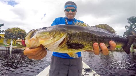 South Florida Fishing In Lake Osborne 5 Lb Bass Hd