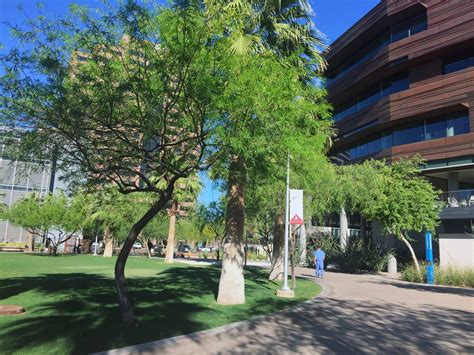 Nau Expands Student Population On Phoenix Biomedical Campus Visit