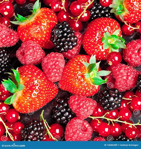 Berrys Royalty Free Stock Images Image 14686389