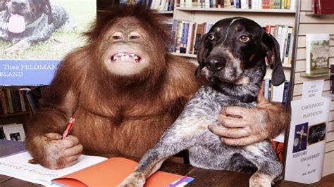 Does Monkey And Dog Get Along