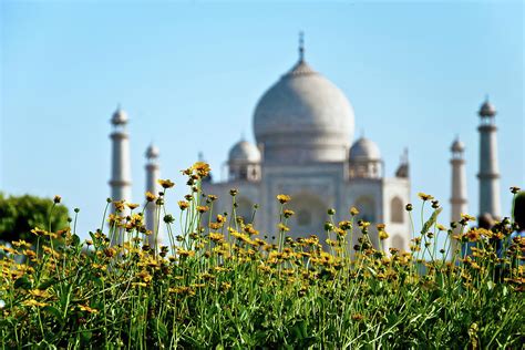 Flowers At Garden With Taj Mahal Photograph By Subir Basak Pixels