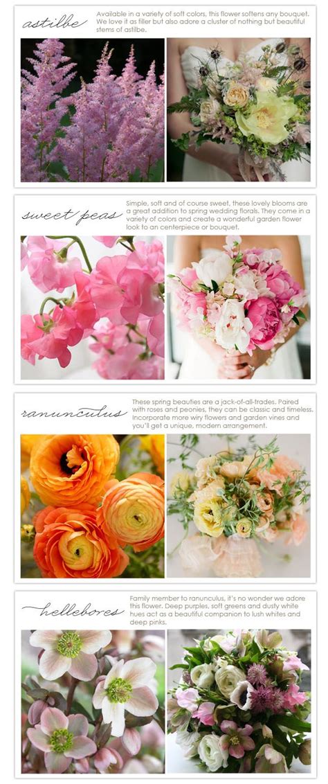 • people spend more time outdoors. Flower types in season - March | Diy wedding flowers ...