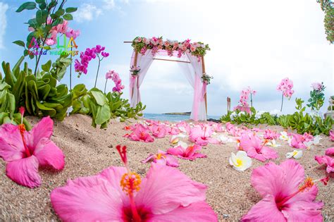Destination Wedding Pink Color Scheme In Hawaii Wedding In Hawaii