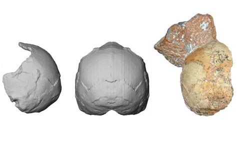 A 210000 Year Old Skull Discovered In Mani Wordlesstech