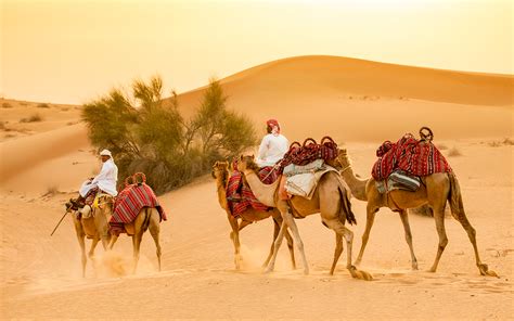 What To Wear For Dubai Desert Safari Desert Safari Packing Checklist ️