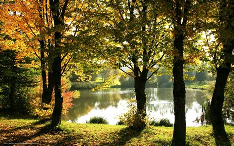 Download Wallpaper Autumn Golden Foliage Lake Fence Free Desktop