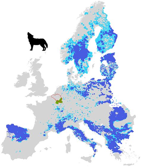 The Distribution Of Wolf Populations In Europe Trans Border Ardennes