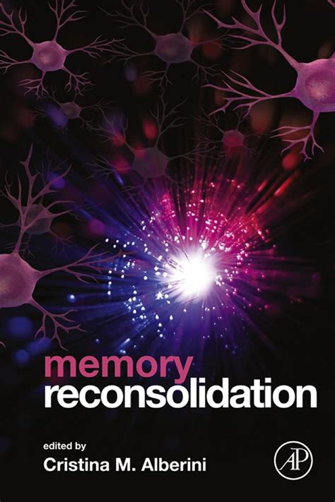 Memory Reconsolidation Ebook Psychology Books Book Display