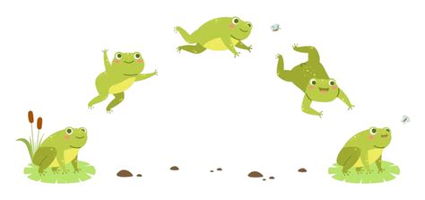 Frog And Toad Png Transparent Images Free Download Vector Files Pngtree