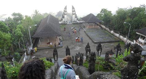 Rimpangnya berkhasiat obat, digunakan dalam ramuan jamu tradisional. Los mejores templos de Bali; viaje a la Isla de los Dioses