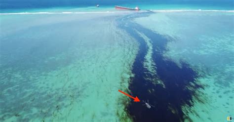 Disastrous Oil Spill In Mauritius Shown In Drone Footage