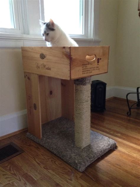 Imgur Post Imgur Diy Cat Scratching Post Cat Furniture Diy Diy