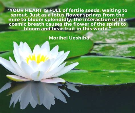 We did not find results for: - Beautiful Lotus Flower Quotes - EnkiQuotes | Lotus flower quote, Flower quotes, Lotus flower