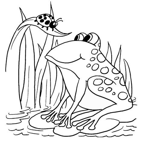 Frog Coloring Pages Color Small Jumping Drawing Animals Tree Wildlife