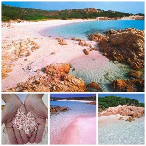 Budelli Sardinia Beaches Pink The Most Beautiful Pink Sand Beaches To