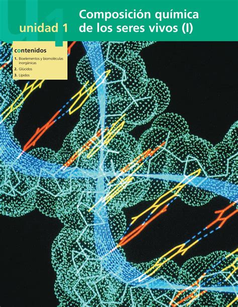 Composición Química De Los Seres Vivos By 5minutsciencia Issuu