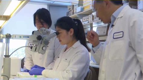 Ucsd Scientists Using Genome Editing Technology To Cure Genetic Diseases