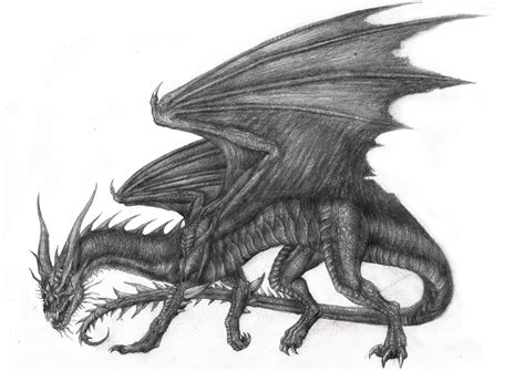 Vior The Black Dragon Sketch By Enigmatic Ki On Deviantart